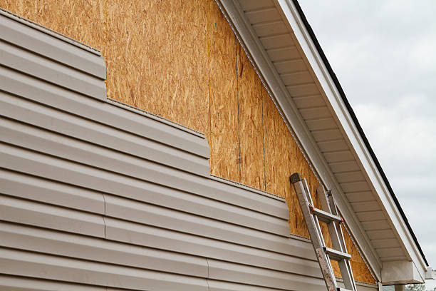 Professional Siding Inspection technician working in Brownsville, TX